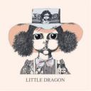 Little Dragon - Fünf Sterne für das schöne Cover !